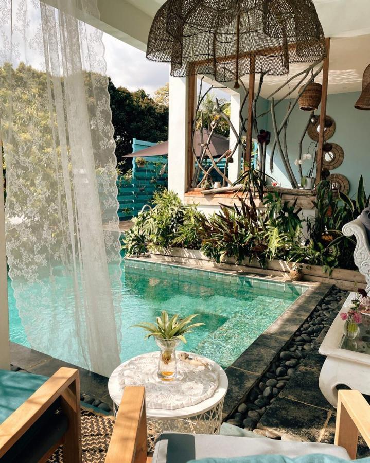 Chambres D'Hotes & Spa Le Jardin De Ravintsara Ravine des Cabris Экстерьер фото